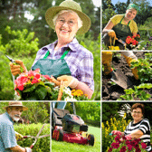 pastimes of seniors-gardening