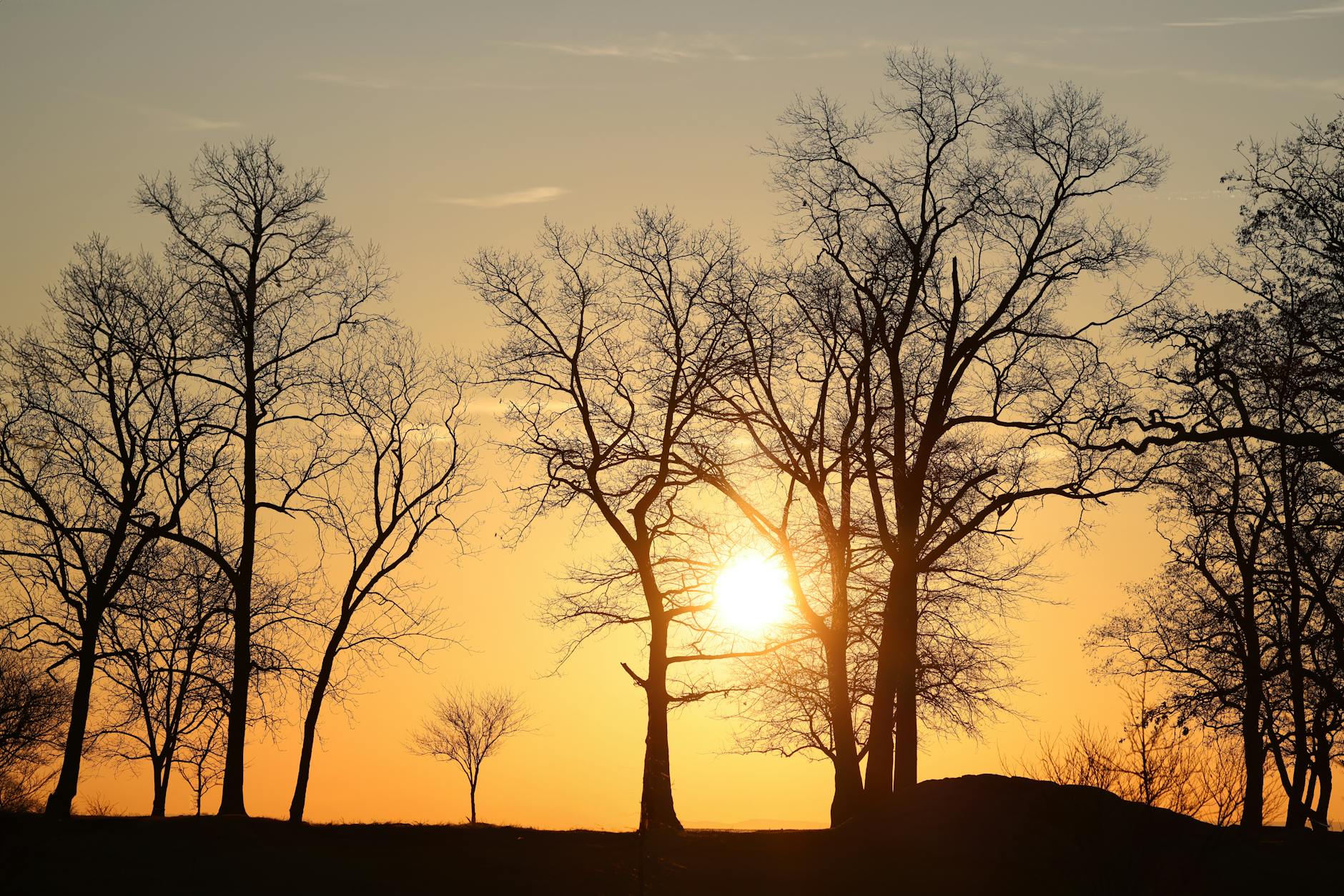 Sundowning and Dementia: What Families Need to Know About Late-Stage Cognitive Decline — sundowning dementia